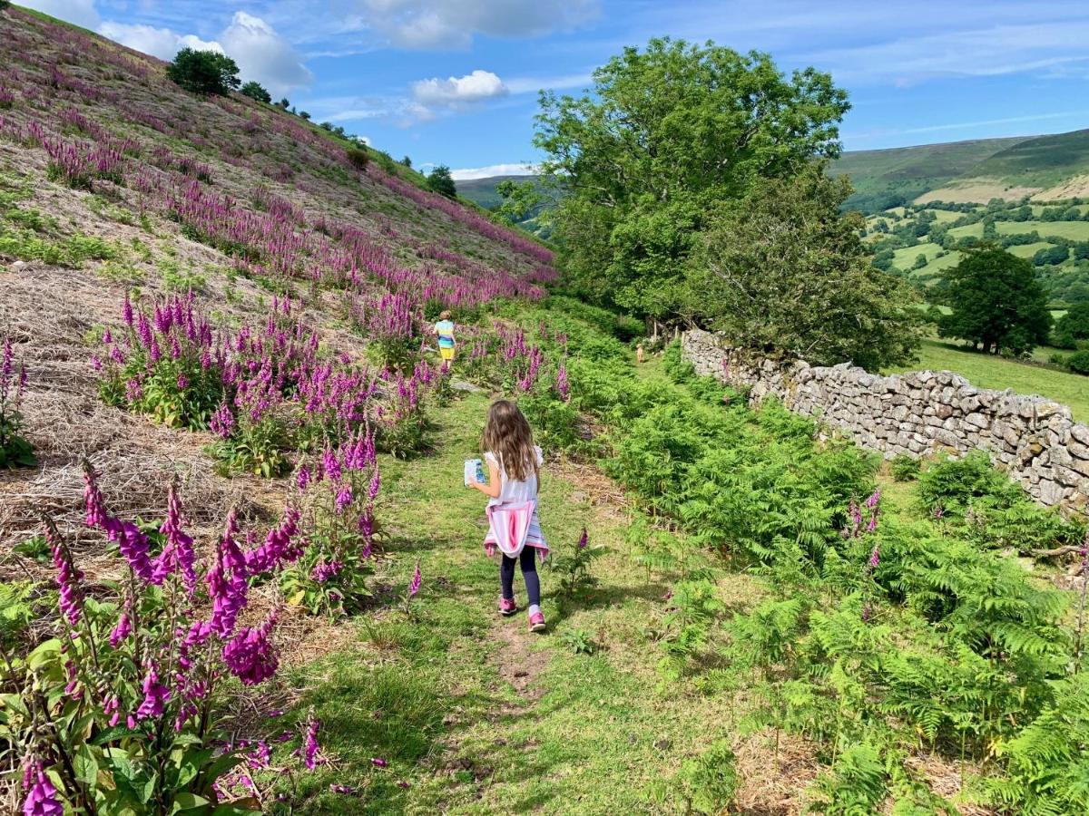 Llanbedr  Black Mountains Stylish Hideaway, Nr Crickhowell מראה חיצוני תמונה